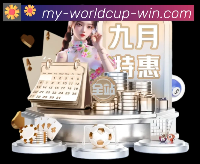 未来规划